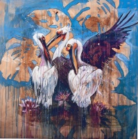 Maria Ditaranto: Pelicanos